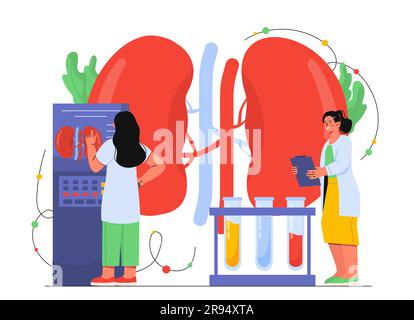 Women examining kidneys concept Stock Vector