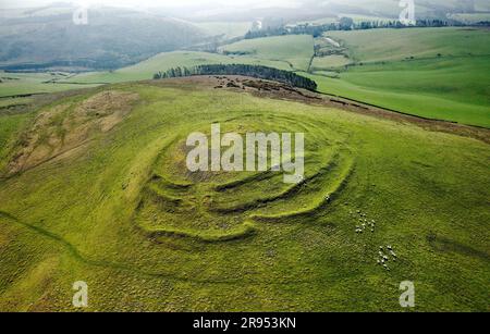 Cockburn Law late prehistoric hill fort near Duns in the borders region, Scotland. Aerial showing 3 earth and stone ramparts and 2 staggered entrances Stock Photo