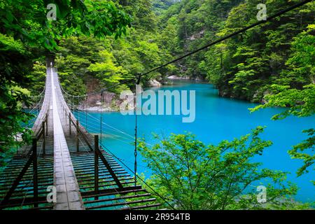 Suspension bridge of dreams at Sunmatakai Stock Photo