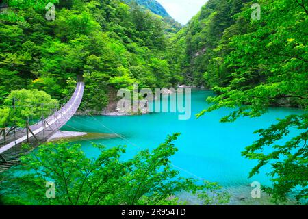 Suspension bridge of dreams at Sunmatakai Stock Photo