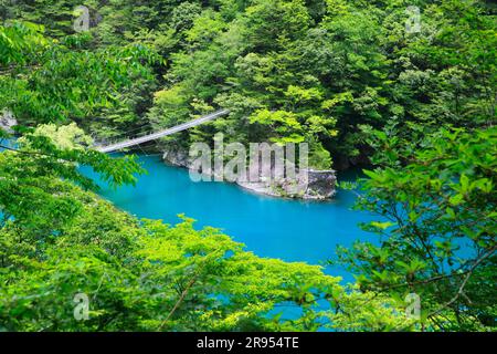 Suspension bridge of dreams at Sunmatakai Stock Photo