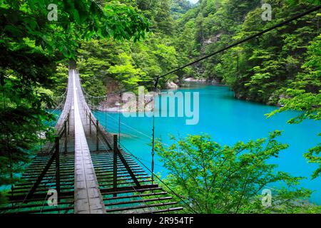 Suspension bridge of dreams at Sunmatakai Stock Photo