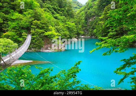 Suspension bridge of dreams at Sunmatakai Stock Photo