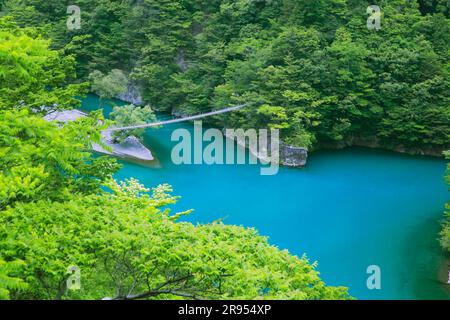 Suspension bridge of dreams at Sunmatakai Stock Photo