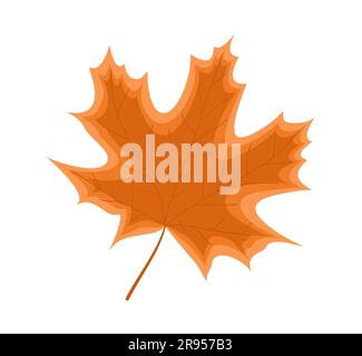 Orange maple leaf on a white background. Autumn decorative element. Flat vector illustration Stock Vector