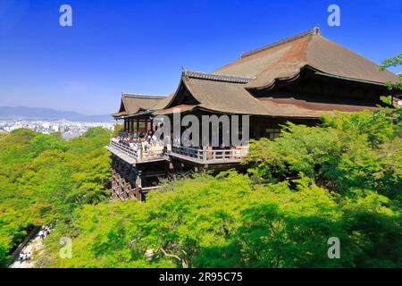 Kiyomizu Temple in fresh green Stock Photo