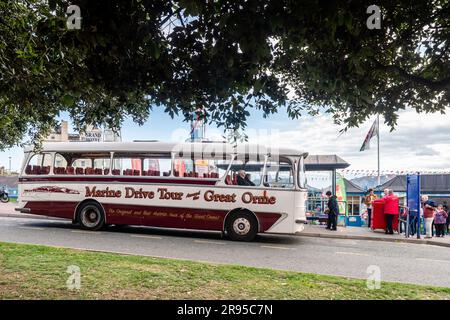 1964 Leyland Harrington Grenadier 3110 coach doing tours up the Great Orme in Llandudno, North Wales, UK. Stock Photo