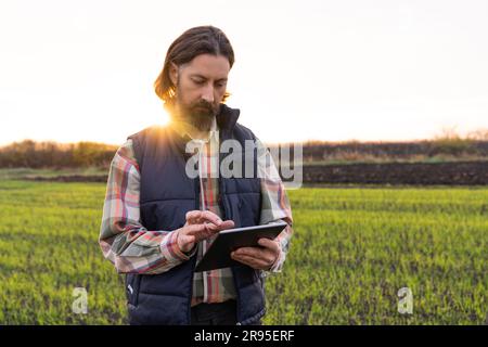Farmer with digital tablet in young wheat field. Smart farming and digital agriculture. Stock Photo