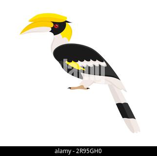 Great hornbill isolated on a white background. Vector illustration in flat style Stock Vector