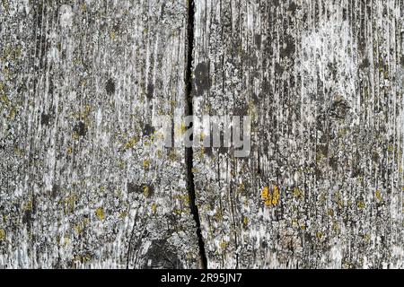 close-up image of weathered and worn wood for graphic resource background template Stock Photo