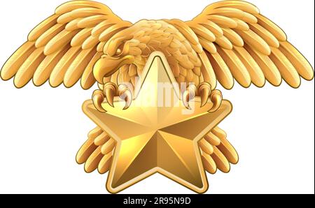 Eagle Star Symbol Crest Banner Parchment Design Stock Vector