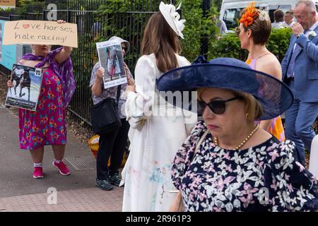 Ascot, UK. 24th June, 2023. Animal rights campaigners protest outside Ascot racecourse as racegoers arrive for the fifth day of Royal Ascot. 28 horses died in jumps and flat races at Ascot between 2012-2022. Credit: Mark Kerrison/Alamy Live News Stock Photo