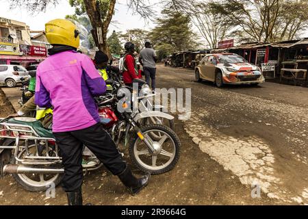 33 Elfyn EVANS (GBR), Scott MARTIN (GBR), TOYOTA GAZOO RACING WRT, TOYOTA GR Yaris Rally1 Hybrid, WRC, WRC, action during the Safari Rally Kenya 2023, 7th round of the 2023 WRC World Rally Car Championship, from June 22 to 25, 2023 in Naivasha, Nakuru County, Kenya Stock Photo