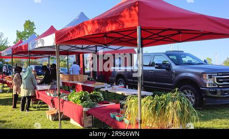 Toronto, Ontario / Canada - June 20, 2023: Vegetables on sale at the outdoor local farmers market with tent Stock Photo