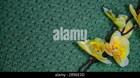 Concept hobby of handmade needlework from home. Top view, web banner with copy space. Yellow branch of orchid flower on green knitted background. Stock Photo