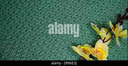 Concept hobby of handmade needlework from home. Top view, web banner with copy space. Yellow branch of orchid flower on green knitted background. Stock Photo