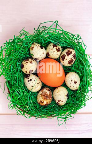 Various eggs in a green Easter nest, egg from domestic chicken, eggs from common quail (Coturnix coturnix), decoration Stock Photo