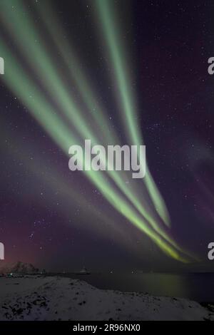 Northern Lights (Aurora borealis) in stripes over the bird cliff of Bleik, Vesteralen, Norway Stock Photo