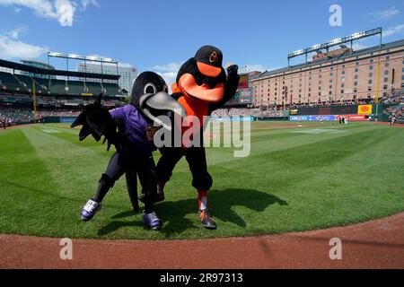 Baltimore Style Baltimore Orioles And Baltimore Ravens Mascots