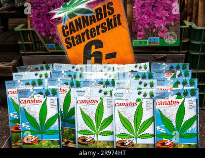 Cannabis starter kits and seeds for sale in Amsterdam. Stock Photo