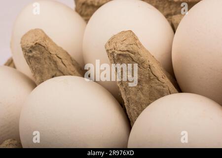 six 6 eggs in a cardboard tray for ten 10 eggs isolate Stock Photo