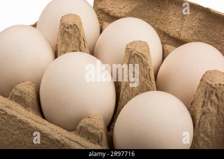 six 6 eggs in a cardboard tray for ten 10 eggs isolate Stock Photo