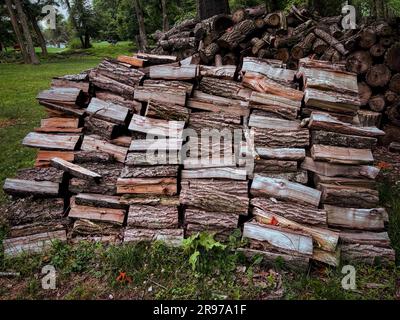 A large stack of logs in the woods, ready for use as firewood Stock Photo