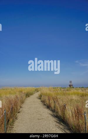 Bird sanctuary at Loyola Beach in the Rogers Park neighborhood, Chicago, Illinois, USA Stock Photo