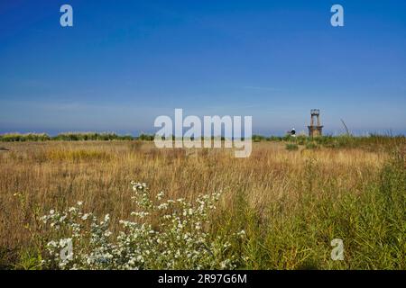 Bird sanctuary at Loyola Beach in the Rogers Park neighborhood, Chicago, Illinois, USA Stock Photo