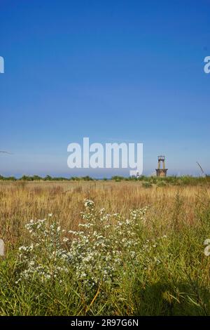 Bird sanctuary at Loyola Beach in the Rogers Park neighborhood, Chicago, Illinois, USA Stock Photo