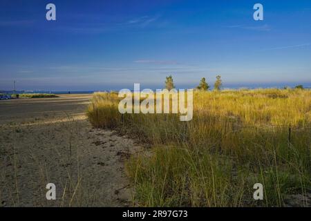 Bird sanctuary at Loyola Beach in the Rogers Park neighborhood, Chicago, Illinois, USA Stock Photo