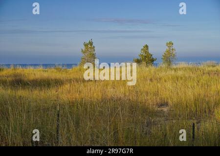 Bird sanctuary at Loyola Beach in the Rogers Park neighborhood, Chicago, Illinois, USA Stock Photo