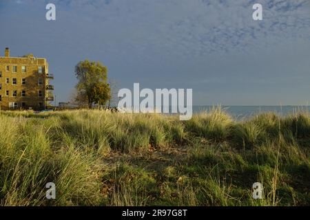 Bird sanctuary at Loyola Beach in the Rogers Park neighborhood, Chicago, Illinois, USA Stock Photo