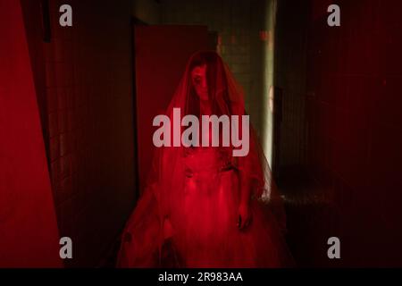 Bride of the dead, ghost woman in a white dress walking through an old building or haunted house, red toned photo Stock Photo