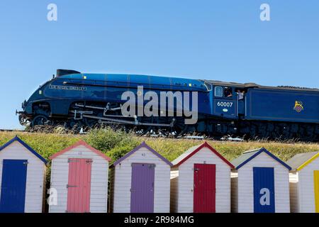 Sir Nigel Gresley LNER A4 number 60007 steam train pictured over some colourfull beach huts in Devon. Stock Photo