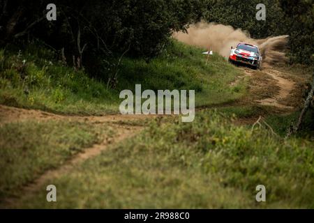 Naivasha, Kenya. 25th June, 2023. 33 Elfyn EVANS (GBR), Scott MARTIN (GBR), TOYOTA GAZOO RACING WRT, TOYOTA GR Yaris Rally1 Hybrid, WRC, WRC, action during the Safari Rally Kenya 2023, 7th round of the 2023 WRC World Rally Car Championship, from June 22 to 25, 2023 in Naivasha, Nakuru County, Kenya - Photo Nikos Katikis/DPPI Credit: DPPI Media/Alamy Live News Stock Photo