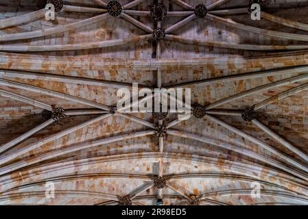 Zamora, Spain - April 7, 2023: Interior view of the Church of San Pedro y San Ildefonso. Directly below view of the vaults Stock Photo