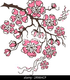 Cherry Blossom, Sakura. Branch with Flowers. Hand-drawn vector clipart isolated on white. Stock Vector
