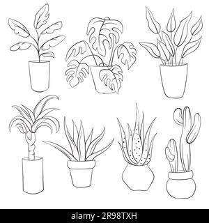 House plants line art style in pots, office flowers. Outline icon set of monstera, cactus, banana tree, succulent. Garden plant vector illustration Stock Vector