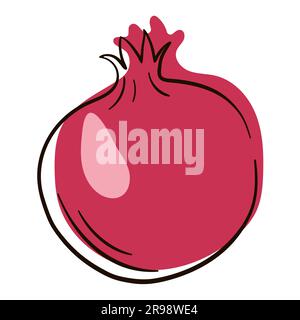 Pomegranate fruit line art. Pomegranate drawing style. Pomegranate contour with color. Flat isolated illustration. Stock Vector