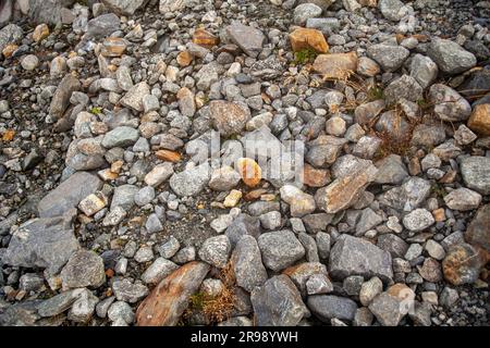 Pebbles on the ground in the mountains. Close-up. Stock Photo