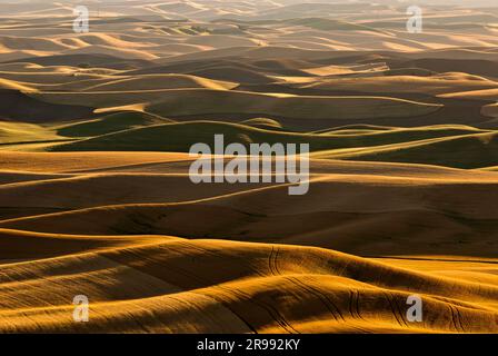 Aerial view of rolling farmland, Whitman County, Washington, USA Stock Photo