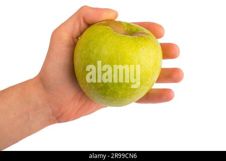 in a hand a green apple isolated on white isolated background Stock Photo