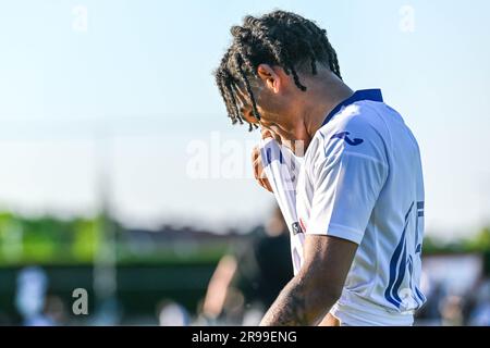 Benito Raman Rsc Anderlecht Tristan Degreef Editorial Stock Photo - Stock  Image