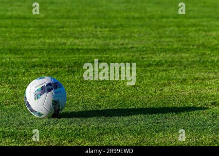 Benito Raman Rsc Anderlecht Tristan Degreef Editorial Stock Photo - Stock  Image