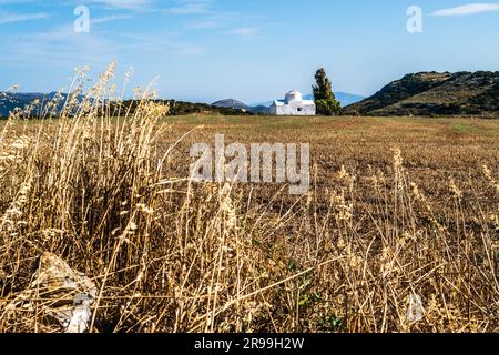 Hay making countryside landscape of Naxos island of Greece, with a traditional church in the background Stock Photo