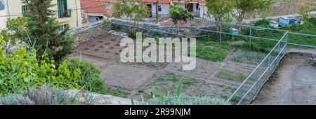 Urban vegetable garden during springtrime in Ano Poli Thessaloniki in Central Macedonia in Greece Stock Photo