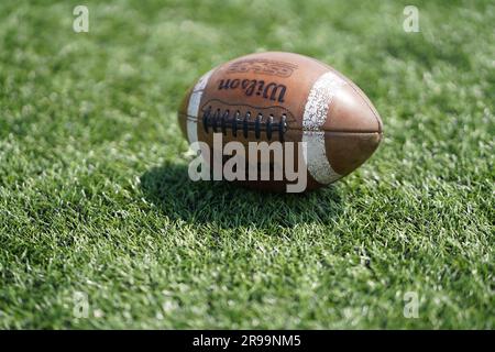 Wilson American Football on an artificial turf Stock Photo