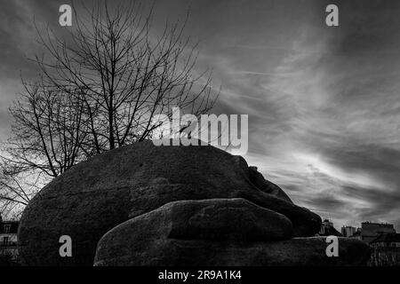 An artistic black and white shot of a lone crow perched atop a large rock in a quaint rural town Stock Photo