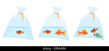 Little brightly colored fish inside plastic bag of water. Pets transportation. Aquatic animal. Goldfish floating in cellophane pouch aqua. Veterinary Stock Vector